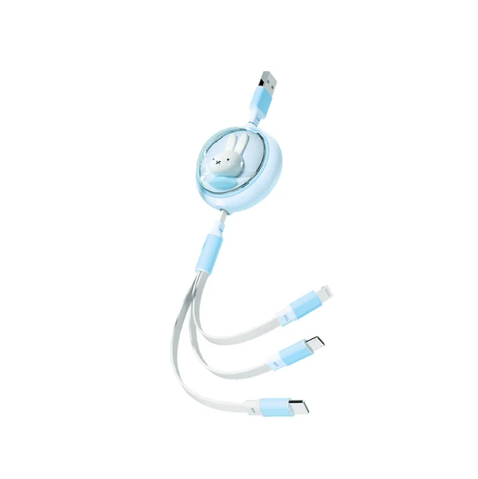 3 in 1 Retractable Cable