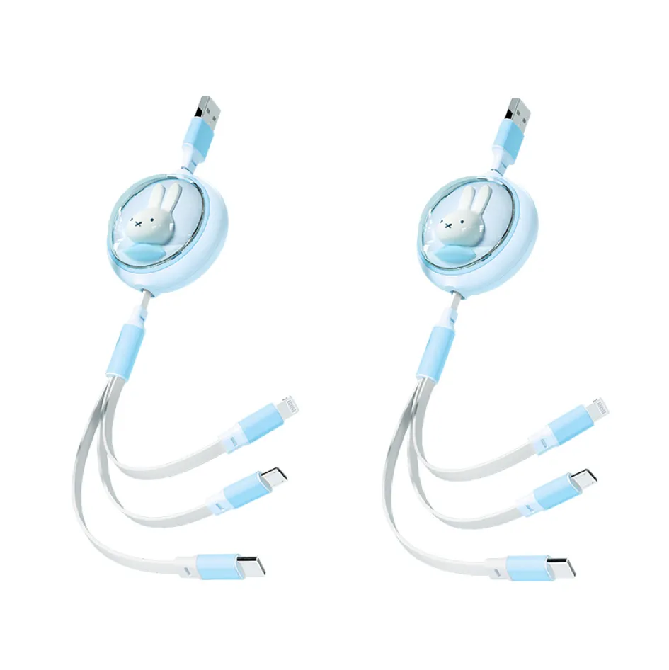 3 in 1 Retractable Cable