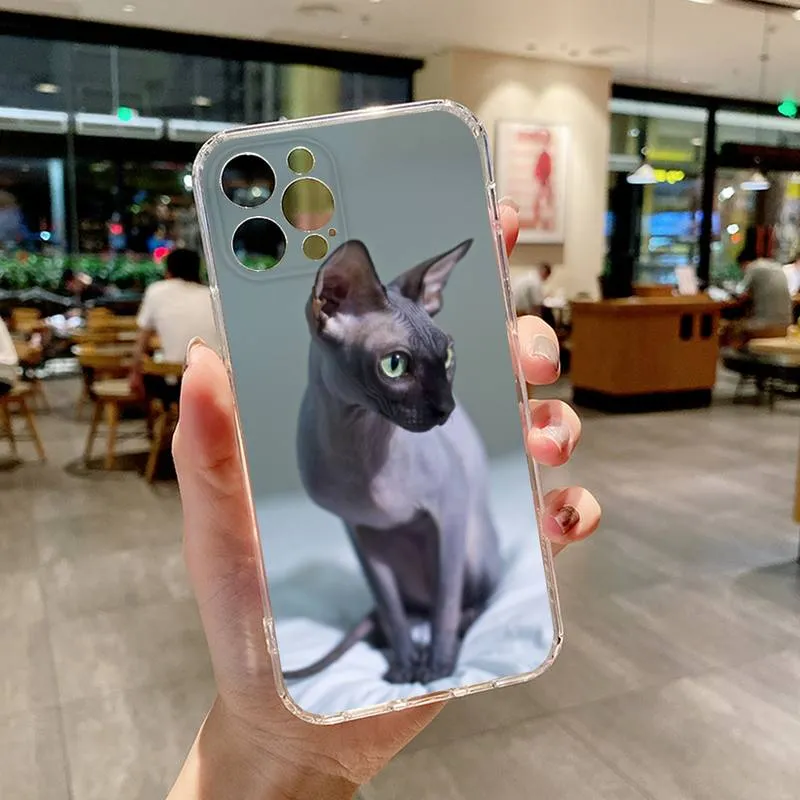 Artistic Sphynx Iphone cases