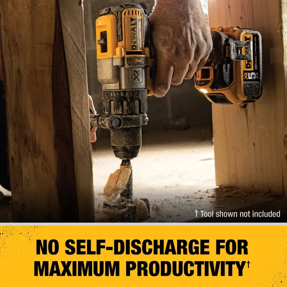 DeWalt 20V MAX* XR‚® Lithium-Ion 5.0Ah Battery