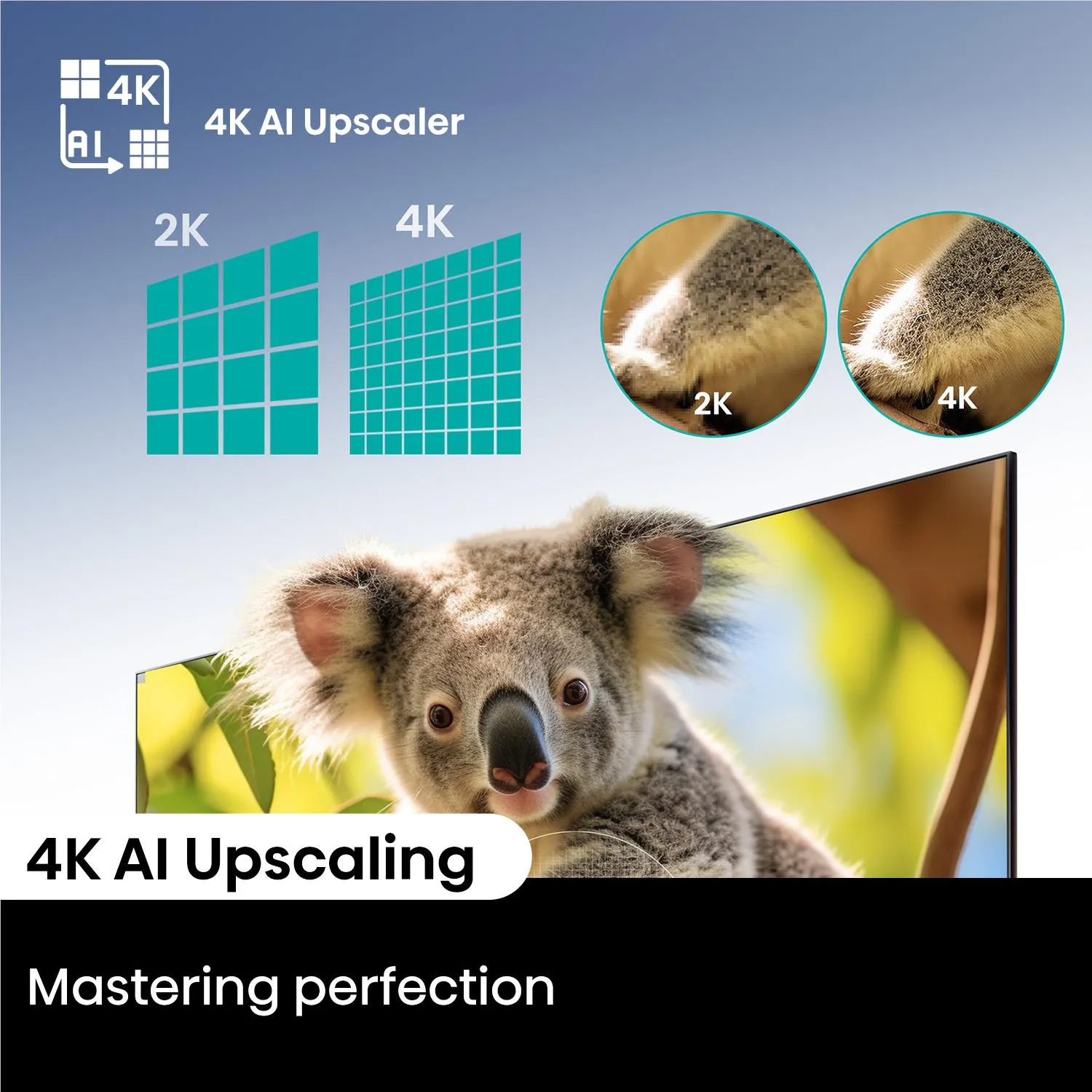 Hisense 85" Q6NAU 4K QLED Smart TV [2024]