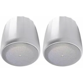 JBL C60PS/T-WH Passive Pendant Subwoofer (Pair, White) - 8"