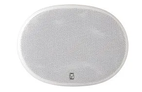 PLATINUM OVAL SPEAKERS