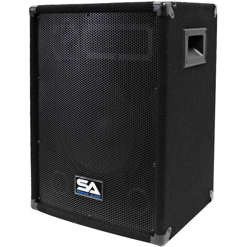 SA-10 Pro Audio 10" PA DJ Speaker Cabinet Main