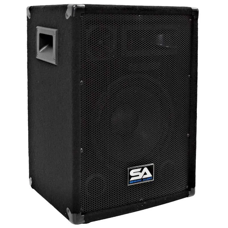 SA-10 Pro Audio 10" PA DJ Speaker Cabinet Main
