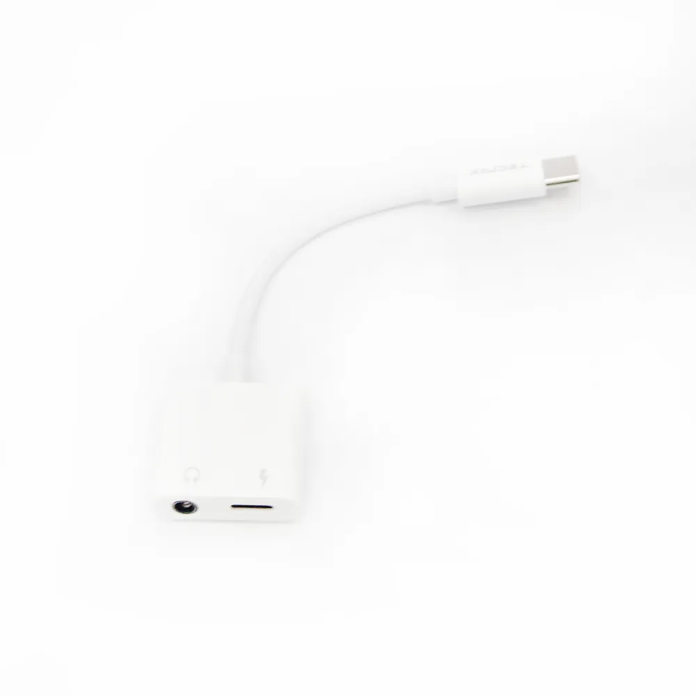 Tecnix Type-C to 3.5mm Charging Adapter Black [ADT-114 BK]